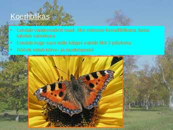 Puisniidud esitlus #16