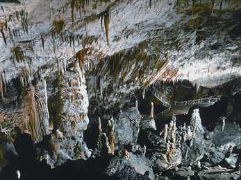 Sloveenia- slideshow- #9