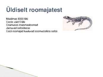 Roomajate esitlus #2