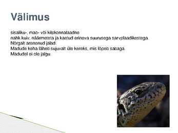 Roomajate esitlus #3