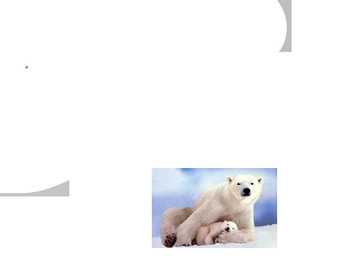 Polar bear communication #4