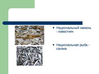 Eestist powerpoint vene keeles #11