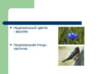 Eestist powerpoint vene keeles #12