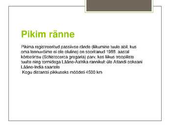 Putukate esitlus #13