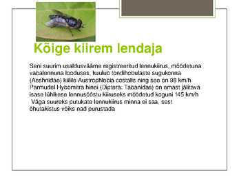 Putukate esitlus #14