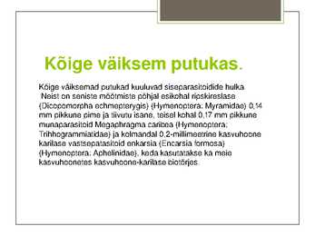 Putukate esitlus #3