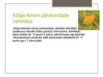 Putukate esitlus #6