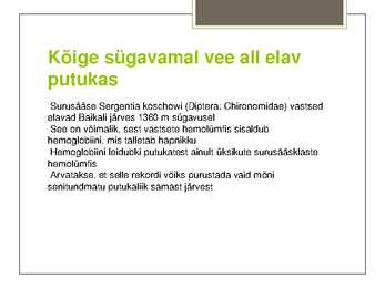 Putukate esitlus #9