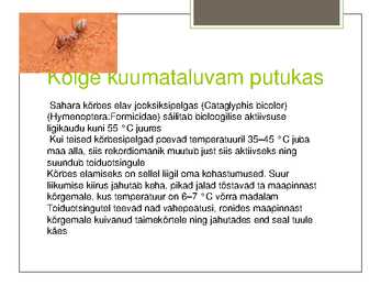 Putukate esitlus #10