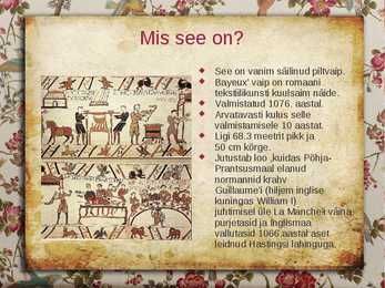 BAYEUX vaip #2