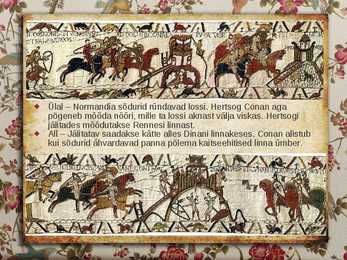BAYEUX vaip #12