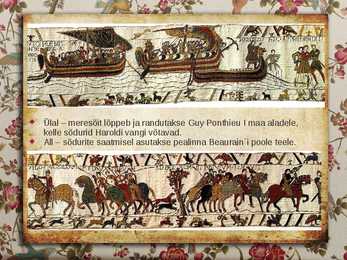BAYEUX vaip #9