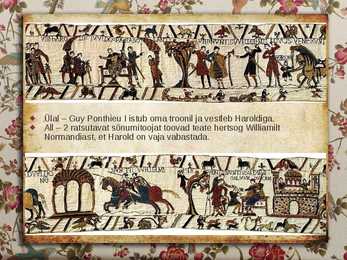 BAYEUX vaip #10