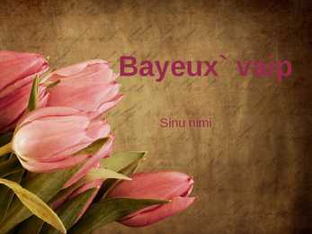 BAYEUX vaip