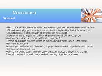 Meeskonnatöö ja rühmatöö-PowerPoint #19