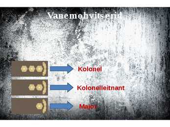 Kaitseväe auastmed-PowerPoint #10