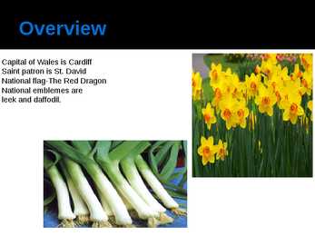 Wales esitlus #2