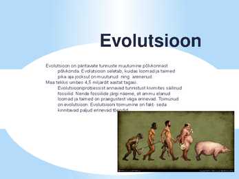 Loomade evolutsiooni esitlus #2