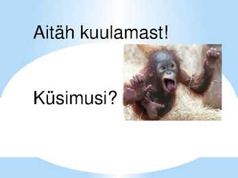 Loomade evolutsiooni esitlus #13