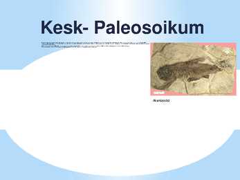 Loomade evolutsiooni esitlus #5