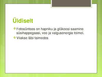 Fotosünteesi esitlus #2