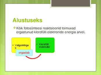Fotosünteesi esitlus #3
