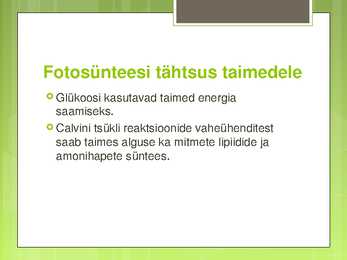 Fotosünteesi esitlus #9
