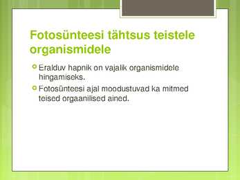 Fotosünteesi esitlus #10