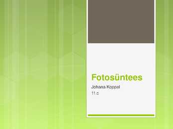 Fotosünteesi esitlus