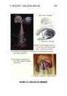 THE- PSYCHOLOGY OF COMMUNICATION #198