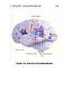 THE- PSYCHOLOGY OF COMMUNICATION #204