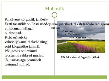 Pandivere Kõrgustik - Esitlus #5