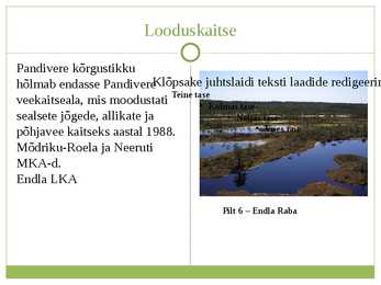 Pandivere Kõrgustik - Esitlus #8