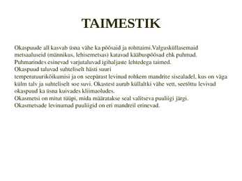 Okasmetsad #11