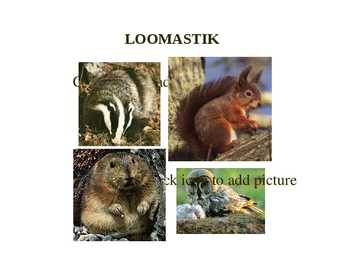 Okasmetsad #13