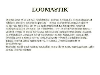 Okasmetsad #15
