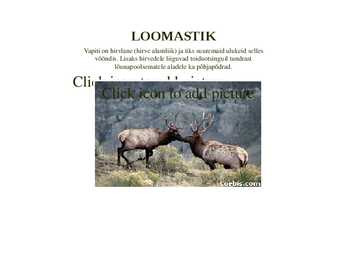 Okasmetsad #16