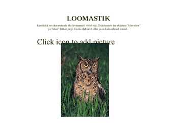 Okasmetsad #17