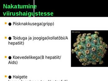 Viirushaigused esitlus #2