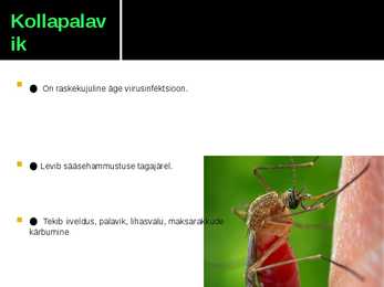 Viirushaigused esitlus #7
