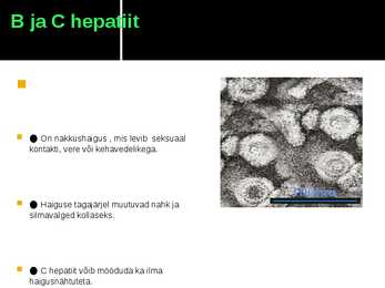 Viirushaigused esitlus #8