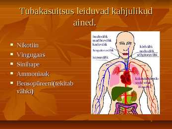 Suitsetamise kahjulikkus #9
