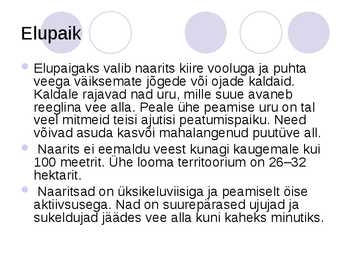 Euroopa Naarits - esitlus #4