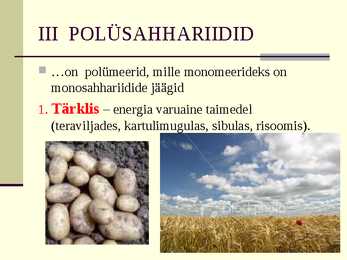 Süsivesikud esitlus #12
