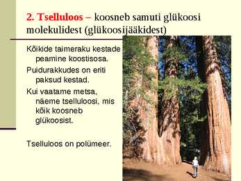 Süsivesikud esitlus #14