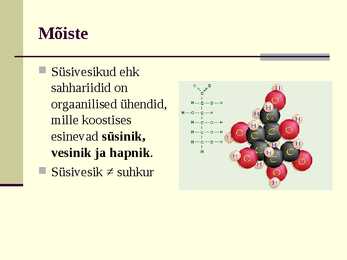Süsivesikud esitlus #4