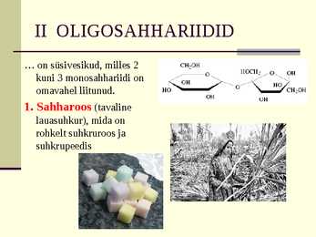 Süsivesikud esitlus #10