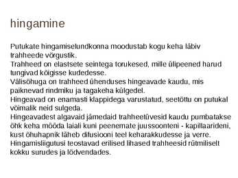 Ettekanne teemal-Toakärbes #12