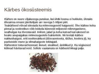 Ettekanne teemal-Toakärbes #13