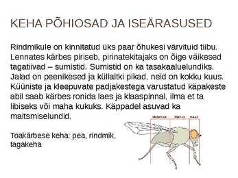 Ettekanne teemal-Toakärbes #5